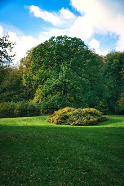 가을에는 프레데릭 보르그 초원에 낙엽수들이 잎들의 색깔들 덴마크에서 — 스톡 사진