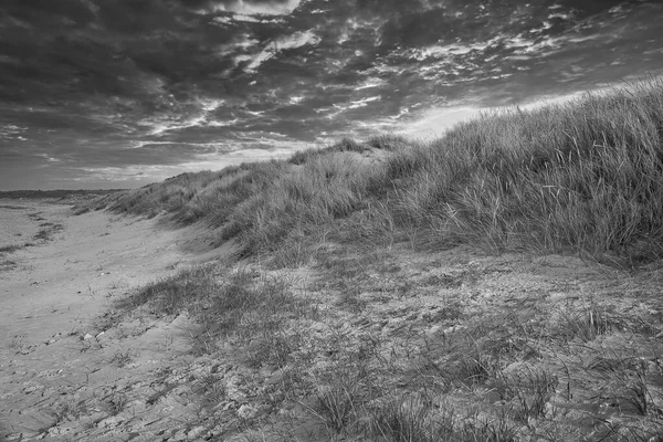 Plážový Přechod Dánsku Moře Duny Písečná Voda Mraky Pobřeží Výlet — Stock fotografie