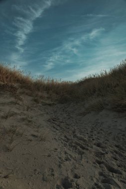 Danimarka 'da deniz kıyısından geçen bir sahil. Kum tepeleri, kum suyu ve kıyıdaki bulutlar. Baltık Denizi gezisi. Plajda tatil. İskandinavya manzarası