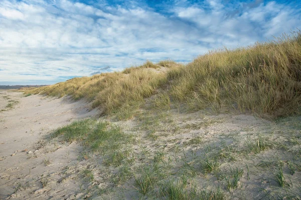 Plážový Přechod Dánsku Moře Duny Písečná Voda Mraky Pobřeží Výlet — Stock fotografie