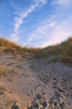 Danimarka 'da deniz kıyısından geçen bir sahil. Kum tepeleri, kum suyu ve kıyıdaki bulutlar. Baltık Denizi gezisi. Plajda tatil. İskandinavya manzarası