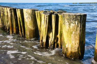 on the beach of the baltic sea in zingst. view of the sea with groyne. Landscape shot from the coast of the Baltic Sea