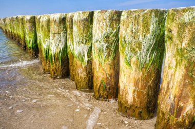 on the beach of the baltic sea in zingst. view of the sea with groyne. Landscape shot from the coast of the Baltic Sea