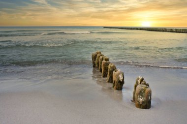 At sunset, the groynes jut into the sea. The sun shines on the Baltic Sea. Landscape from the coast