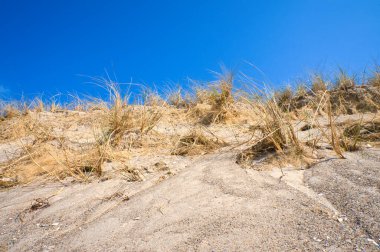 Dune on the beach of the Baltic Sea with dune grass. White sandy beach on the coast. Blue sky. Landscape shot from nature