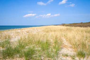 View over the dune on the coast of the Baltic Sea. White beach in front of blue sky with white clouds. Landscape photo from sea