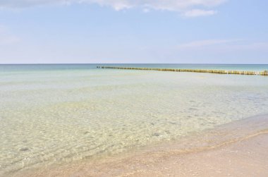 Baltık Sahili 'nin batı sahilinde. Detaylı ve dokulu natürmort. güzel tatil yeri