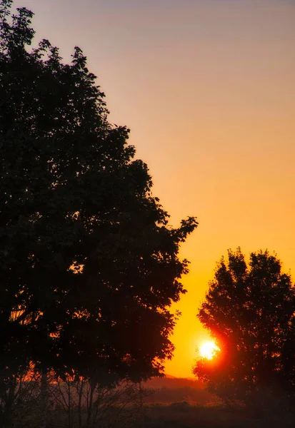 Sunset Sun Shines Trees Golden Light Autumn Mood Landscape Photo — Stockfoto