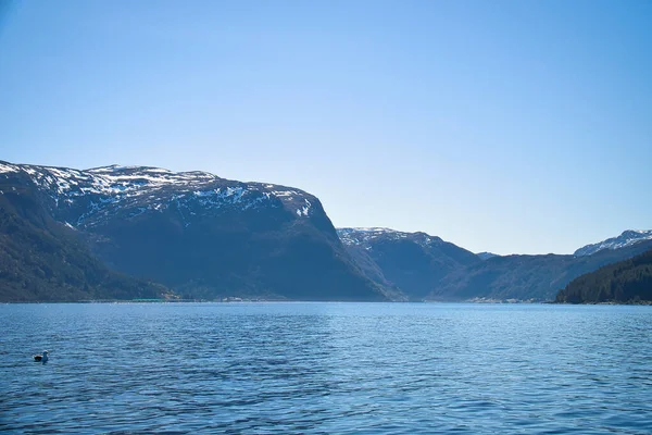 Fjord Kilátással Hegyek Fjord Táj Norvégiában Tájkép Napsütéses Kék Égbolttal — Stock Fotó