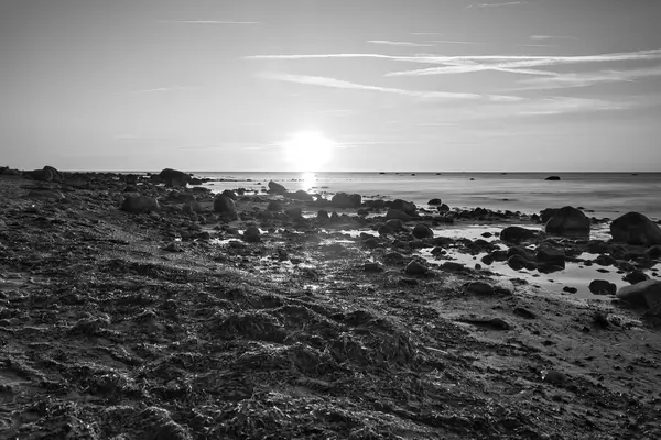 黒と白の照明の海の前に大小の岩と石のビーチ 光の波 バルト海のポール島 海岸からの自然写真 — ストック写真