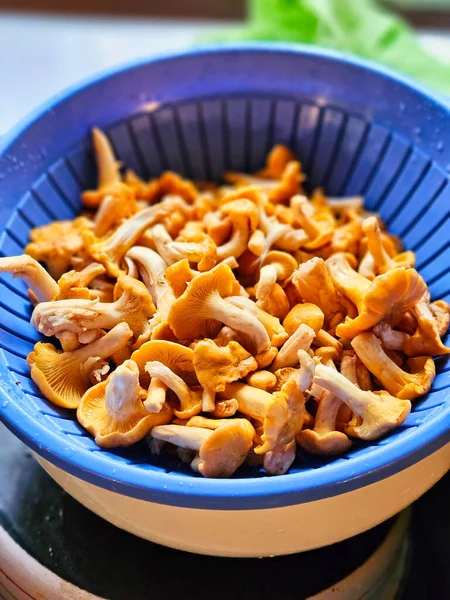 Chanterelle Ready Cleaned Blue Colander Kitchen Mushrooms Nature Food Found — Stock Photo, Image