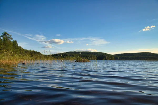 瑞典斯马兰的湖景 有光波和芦苇 蓝天白云 斯堪的纳维亚半岛的夏天景观照片 — 图库照片