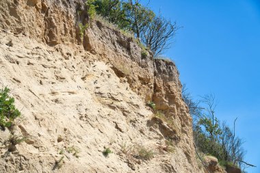 Baltık Denizi kıyısındaki Poel Adası. Yamaçtaki ağaçla kesişme kenarı. Yazın kıyı manzarası. Tatil beldesi