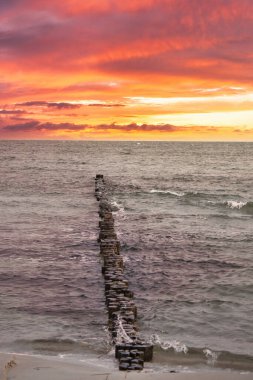 Groynes Baltık Denizi 'ne girdi. Gün batımı ufukta. Kıyıyı koruyan tahta kütükler. Denizden manzara