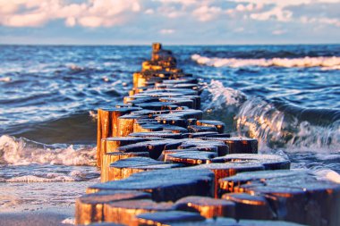 Groynes denize dalıyor. Darss 'ta zingst' i aldı. perspektif ufka yönelir