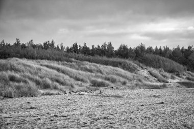 Baltık Denizi 'nin batı sahilinde gün batımı. Dalgalar, sahil, bulutlu gökyüzü ve sahildeki son güneş ışınları. Peyzaj fotoğrafı