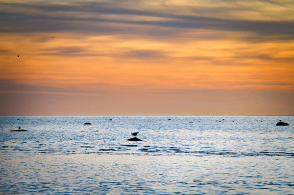 Gün batımı, aydınlık deniz. Ön planda kumsal var. Işık dalgaları. Baltık Denizi 'ndeki Poel Adası. Sahildeki doğa fotoğrafı.