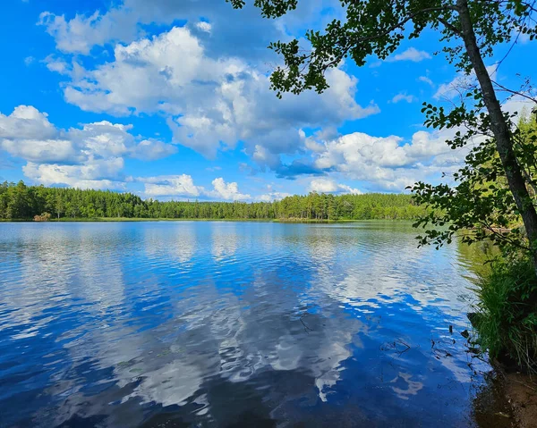 View of a lake in Smaland in Sweden. Blue water with light waves and reeds. Blue sky with veil clouds. Summer in nature in Scandinavia. Landscape photo