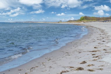 Zingst sahilinde bir körfezde. Mavi Baltık Denizi 'nin önündeki beyaz kum. Gökyüzünde küçük beyaz bulutlar ve arka planda biraz orman. Manzara görüntüsü