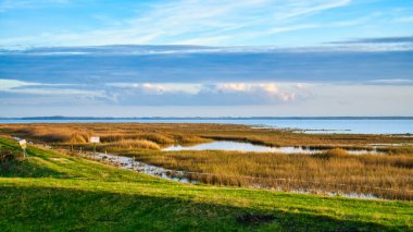 Baltık Denizi yarımadasında, Zingst 'teki Bodden' da gökyüzünde hafif bulutlar. Çayırlarla kaplı bir yer. Sahilde doğa rezervi var. Peyzaj fotoğrafı