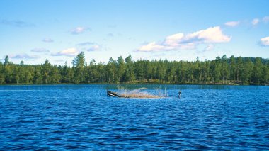 İsveç 'te göl, mavi gökyüzü ve mavi suyun önünde beyaz bulutlar. Kıyıdaki ağaçlar. İskandinavya doğası