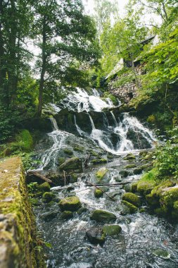 İsveç 'te küçük bir şelale. Yosun kaplı taşlar. Nehir kıyısındaki orman. İskandinav doğası