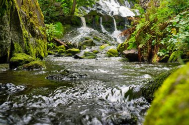Küçük şelale İsveç 'te bir dereye akar. Yosun kaplı taşlar. Nehir kenarındaki orman. İskandinav doğası