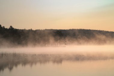 Şafakta İsveç 'te bir gölün üzerinde sis oluşurken gün doğumu. İskandinav doğasında romantik sessizlik.