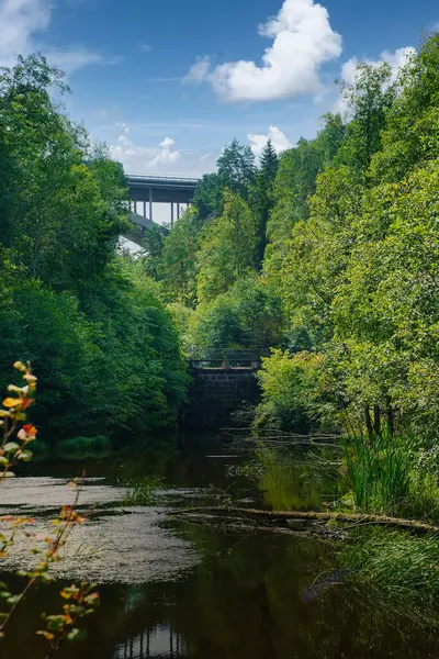 Yoğun bitki örtüsüyle kaplı sakin bir nehir dramatik bulutlarla gökyüzünü yansıtır. Arka planda, ağaçlar tarafından çerçevelenmiş bir köprü manzarayı geçer..