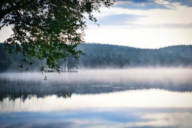 Şafakta İsveç 'te bir gölün üzerinde sis oluşuyor. İskandinav doğasında romantik sessizlik.