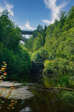 Yoğun bitki örtüsüyle kaplı sakin bir nehir dramatik bulutlarla gökyüzünü yansıtır. Arka planda, ağaçlar tarafından çerçevelenmiş bir köprü manzarayı geçer..