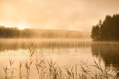 Sunrise with fog forming over a lake in Sweden, at dawn. Romantic silence, in the Scandinavian nature clipart