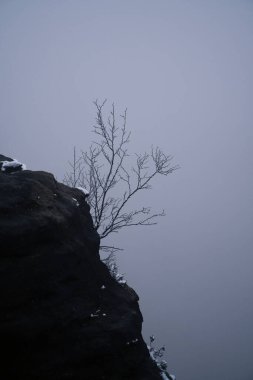 Grosser Zschirnstein 'in bir yürüyüş sırasında siste tek bir ağacı olan kayalık manzarası. Elbe Kum Taşı Dağları 'ndaki doğa parkından. Almanya 'daki şeylerin manzarası