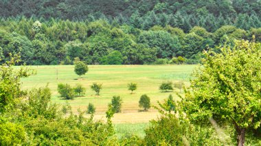 Yeşil ormanları olan engin bir manzara, yuvarlanan tepeler ve beyaz bulutlu mavi bir gökyüzü. Yaz aylarında ilahi doğa, barış ve özgürlük..