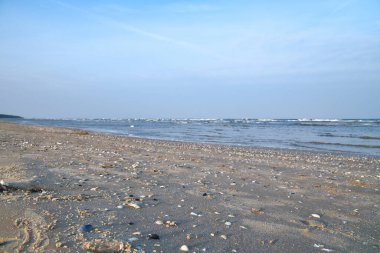 Kullanım Adası 'ndaki kumsalın üzerinden bol kabuklu manzarayı seyret. Baltık Denizi 'nde ışık dalgaları. Sahilin manzarası.