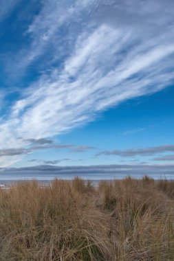 Kullanım Adası 'ndaki kum tepelerinin üzerinden Baltık Denizi' ne bakın. Kum çimleri ve bulutlar. Sahildeki doğa fotoğrafı.
