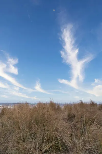 View over the dunes on the island of Usedom to the Baltic Sea. Dune grass and clouds. Nature photo from the coast