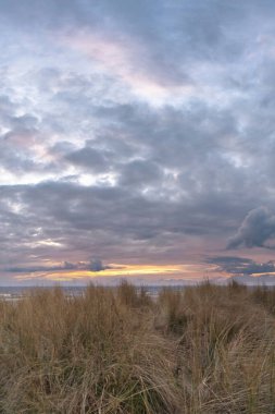 Kullanım Adası 'ndaki kum tepelerinin üzerinden Baltık Denizi' ne bakın. Kum çimleri ve bulutlar. Sahildeki doğa fotoğrafı.