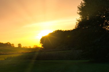 Ağaçların ve tarlaların arkasında gün batımı, gökyüzü ılık sarı ve turuncu tonlarda parlar. Doğa, manzara ve cennet gibi temalar için mükemmel.!