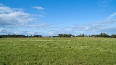 Arka planda ağaçlar ve binalar tarafından çerçevelenmiş dağınık bulutlarla mavi gökyüzünün altındaki yeşil çayır. Doğa, manzara ve şehir manzaraları için mükemmel..