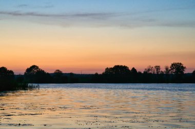 Sakin bir göl, yeşil doğayla çevrili, ön planda hafif dalgalar ve çiçeklerle, bulutlu bir gökyüzünün altında. Doğa fotoğrafçılığı için ideal..