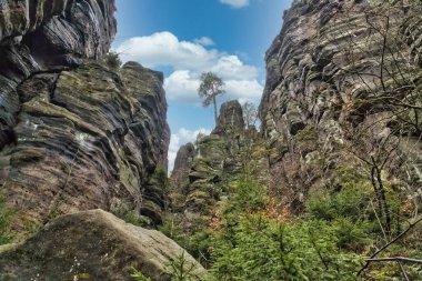 Zirvesinde bir ağaç olan engebeli kaya oluşumları, yeşil bitki örtüsü ve mavi gökyüzü ile çevrili, karşıtlık ve sükunetle dolu romantik doğa..
