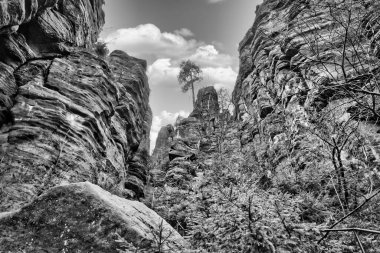Zirvesinde bir ağaç olan engebeli kaya oluşumları, yeşil bitki örtüsü ve mavi gökyüzü ile çevrili, karşıtlık ve sükunetle dolu romantik doğa..