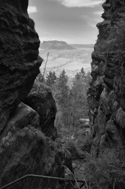 Arka planında ağaçlık bir vadi ve tepeler olan kayalık bir vadiye bakın. El değmemiş doğa, etkileyici kaya oluşumları.