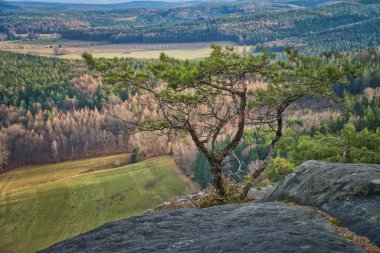 Kayanın üzerindeki çarpıcı bir ağaç geniş bir manzarayı, sükuneti, ihtişamı ve doğaya yakınlığı görselleştirir..