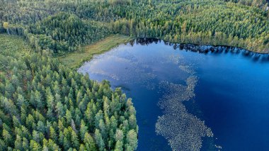 Yoğun ormanlarla çevrili gölün berrak mavisi, hava manzarası, su bitkileri ve ağaç tepeleri ile el değmemiş doğal bir alanın güzelliğini ve çeşitliliğini gösteriyor..