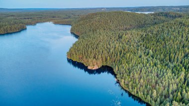 Orman çevresi, doğal güzellik, dinginlik ve uzak bir doğal cennetteki ekolojik çeşitlilikle derin mavi bir göl manzarası..