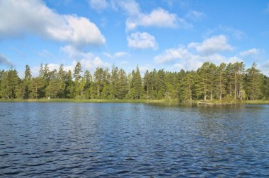 Mavi gökyüzünün altındaki yeşil ağaçların yansımalarıyla sakin bir göl. Bulutlu, huzurlu doğal bir ortam. Rahatlamak ve ilham vermek için..