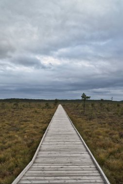 Ahşap bir yürüyüş yolu gri bir gökyüzünün altındaki geniş bir bozkıra çıkar. Sahne sakin ve yapısal görünüyor, doğanın derinliğini ve yalnızlığını vurguluyor..