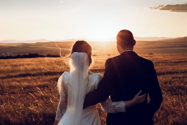 stock image The bride and groom hold hands and look to the future in the middle of nature, the newlyweds walk together,wedding photography,until death do us part